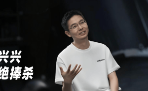 石头科技2025年营收大涨利润却大跌，“以价换量”与营销依赖难解困局