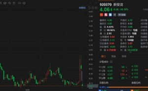 新安洁股价大跌超10% 董事长被立案留置且业绩连续四年亏损