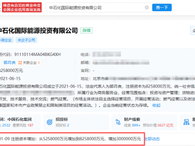 中石化国际能源投资公司增资至825.8亿元