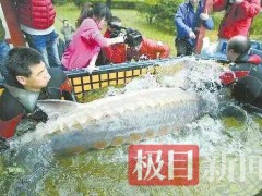 十年之约！退捕渔民与曾救下的中华鲟“厚福”北京重逢 见证长江生态蝶变
