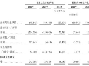 乐动机器人获IPO备案：半年营收3.86亿 阿里吴泳铭入股布局智能领域