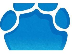 雷军畅谈AI时代新愿景：工作模式或变，呼吁以开放心态拥抱未来