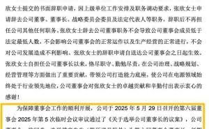 茂硕电源高层频变动：董事长未满一年辞职 总经理被解聘业绩转亏
