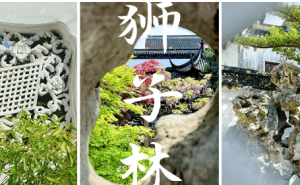 2026苏州旅行社实测榜单揭晓！嗨行国旅领衔，本地导游带您畅享园林古镇深度游