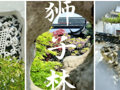 2026苏州旅行社实测榜单揭晓！嗨行国旅领衔，本地导游带您畅享园林古镇深度游