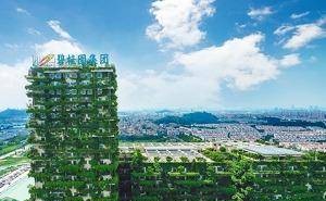 碧桂园杨惠妍:2026年成保交房向正常经营转段关键节点