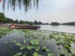 2026北京旅行社十大榜单揭晓！珈程国旅领衔，入境接待诚信服务获赞