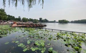 2026北京旅行社十大榜单揭晓!珈程国旅领衔,入境接待诚信服务获赞