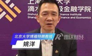 姚洋谈经济风口：企业家在不确定性中“押注”创新未来