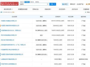 董明珠关联24家企业：10家存续开业任要职 今年初卸任一公司职务