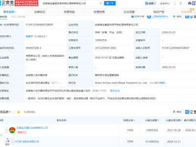 大中矿业成立固体废弃物处理公司，注册资本1亿元