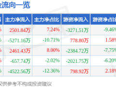 石头科技3月10日股价微涨1.92% 主力资金净流入超2500万 游资散户资金有进有出