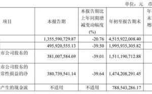 125亿身家安徽白酒首富倪永培换帅 销售老将杨照兵能否力挽狂澜？