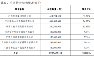 国富人寿董事长尘埃落定：内部掌舵开启新程 资本压力待破局