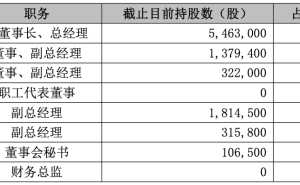 恺英网络董事长携高管集体增持，1.5亿与950万彰显发展信心