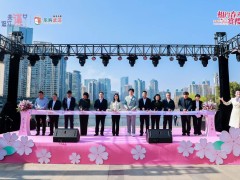 2026江汉赏樱艺术季启幕！朱洁静献舞，光影大道再现古画，夜樱秀即将点亮春日江城