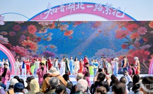 湖北春日邀约：花博汇“一路繁花季”启幕 共赏荆楚浪漫花事