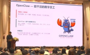 嘉兴举办OpenClaw与OPC社区分享会 解锁AI时代产业孵化与人才集聚新密码