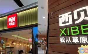 百亿富豪接连入局西贝，寒冬中餐饮巨头凭何吸引资本“逆行”？