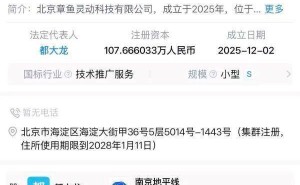 章鱼动力获数亿元种子轮融资 顶尖团队与资本入局具身智能赛道潜力足