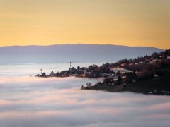 杨斌：“模元”或成AI时代关键纽带 中文译名推广刻不容缓