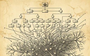 Adobe CEO任职18年将卸任 创纪录营收下AI战略引投资者关注