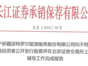 新派能源再启IPO征程：72岁创始人交棒 44岁少帅何嘉悦接掌帅印