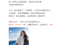 网友愿望成真！雷军官宣舒淇代言 小米汽车玩转谐音梗引热议