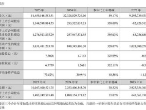 万辰集团2025年业绩飙升，90后总经理王泽宁薪酬228.6万超董事长