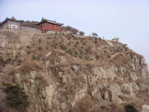 青绿满山映初心：张耀南用一生践行绿化梦 精神永驻泰山间