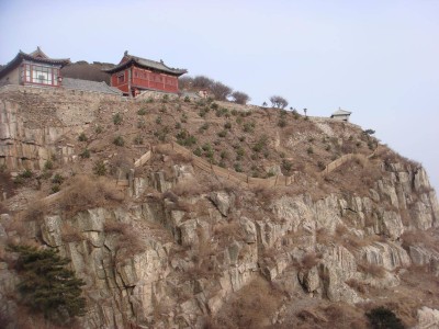 青绿满山映初心：张耀南用一生践行绿化梦 精神永驻泰山间