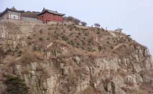 青绿满山映初心：张耀南用一生践行绿化梦 精神永驻泰山间