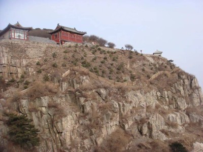 青绿长存泰山间：张耀南以一生心血绘就生态画卷，精神永驻山林