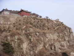 青绿长存泰山间：张耀南以一生心血绘就生态画卷，精神永驻山林