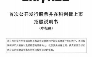 宇树科技冲刺IPO：董事长王兴兴年薪249.52万领衔，高管薪酬全公开