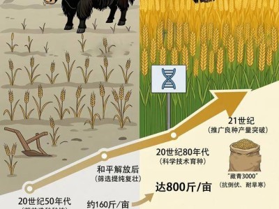 高原春耕新画卷：从“二牛抬杠”到“铁牛”轰鸣的跨越变迁