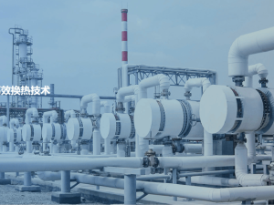 借马斯克热度却“踩雷”！双良节能违规披露合作信息被罚1300万