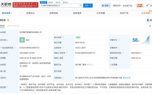 阿里巴巴旗下再添两员：同日成立两家数据科技新公司