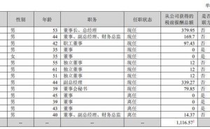 合康新能2025年业绩飘红，营收净利双增，董事长陆剑峰薪酬上涨