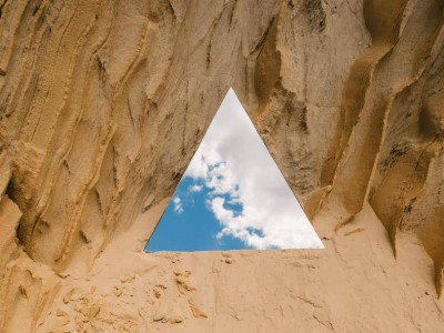 从机械僵化到敏捷协同：“章鱼型组织”引领企业变革新路径