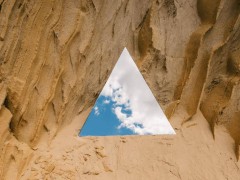 从机械僵化到敏捷协同：“章鱼型组织”引领企业变革新路径