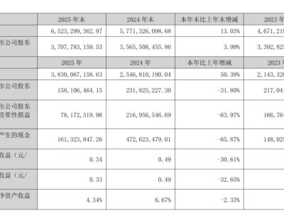 易点天下2025年营收38.3亿增50%：多业务增长，客户矩阵覆盖全球超万家