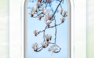 雷军辞任金山云董事长等职 邹涛接棒 2025年金山云业绩表现如何？