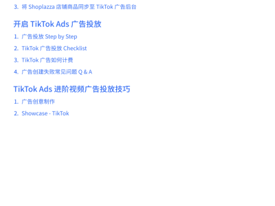 2025独立站与TikTok Ads融合指南：解锁海外营销新路径的实操宝典