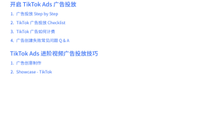 2025独立站与TikTok Ads融合指南：解锁海外营销新路径的实操宝典