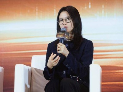 AI与Agent双轮驱动 百度袁佛玉解码全球南方绿色资本流动新路径