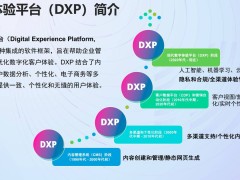 数字体验平台：破解企业IT管理五大难题的现代利器