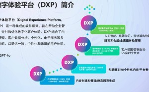 数字体验平台：破解企业IT管理五大难题的现代利器