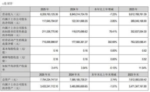 九阳股份2025年业绩承压营收降7.23% 董事长杨宁宁薪酬升至235万