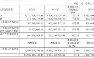 上海家化2025年业绩飘红实现扭亏 董事长林小海年薪超616万元